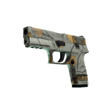 P250 | Modern Hunter